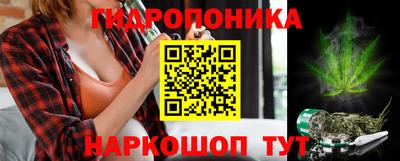 индика Бузулук
