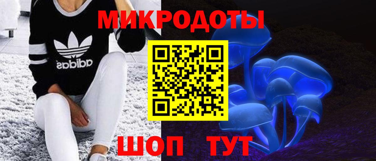 Галлюциногенные грибы Magic Shrooms  Вход с VPN  Тула  хочу наркоту  Псилоцибиновые грибы Magic Shrooms 