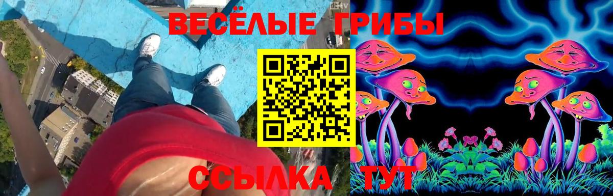 Псилоцибиновые грибы MAGIC MUSHROOMS Тула